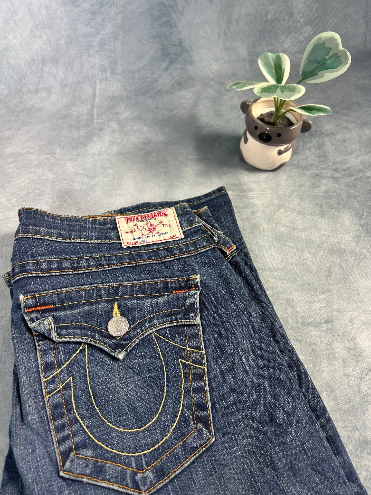 Vintage True Religion Jeans (Joey, Size 31 L)