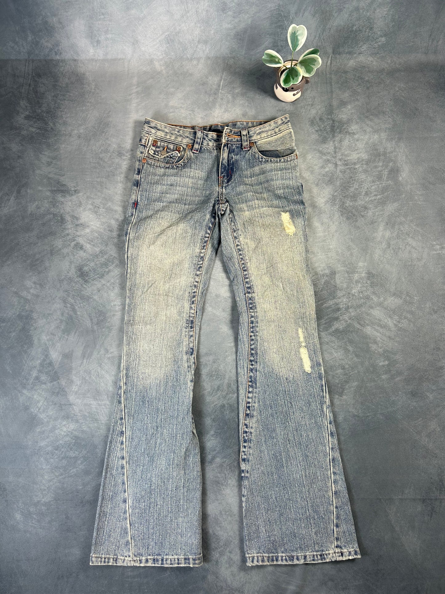 Rare Vintage True Religion Jeans (Joey Big T, Size 26 S)