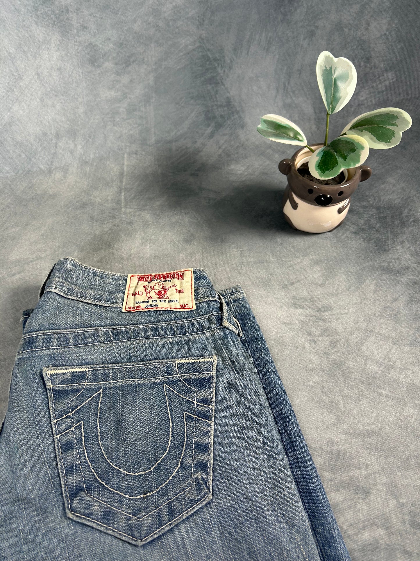 Vintage True Religion Jeans (Johnny, Size 24 XXS)