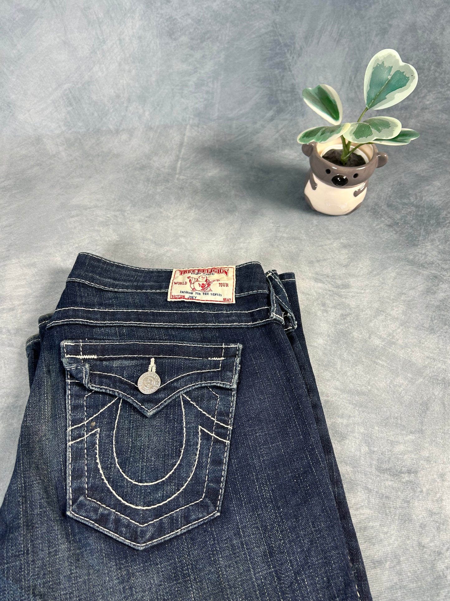 Vintage True Religion Jeans (Joey, Size 29 M)