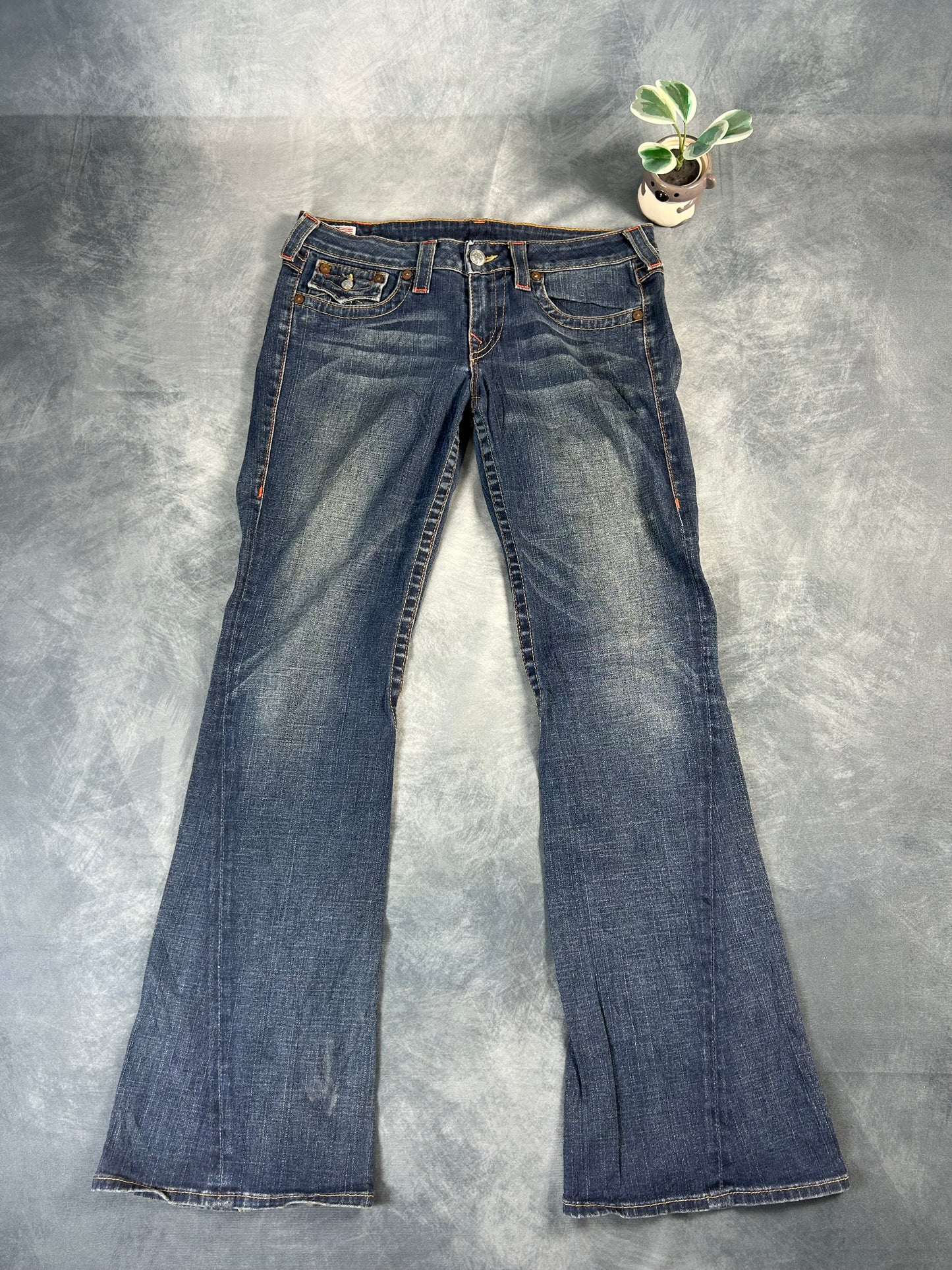 Vintage True Religion Jeans (Joey, Size 31 L)