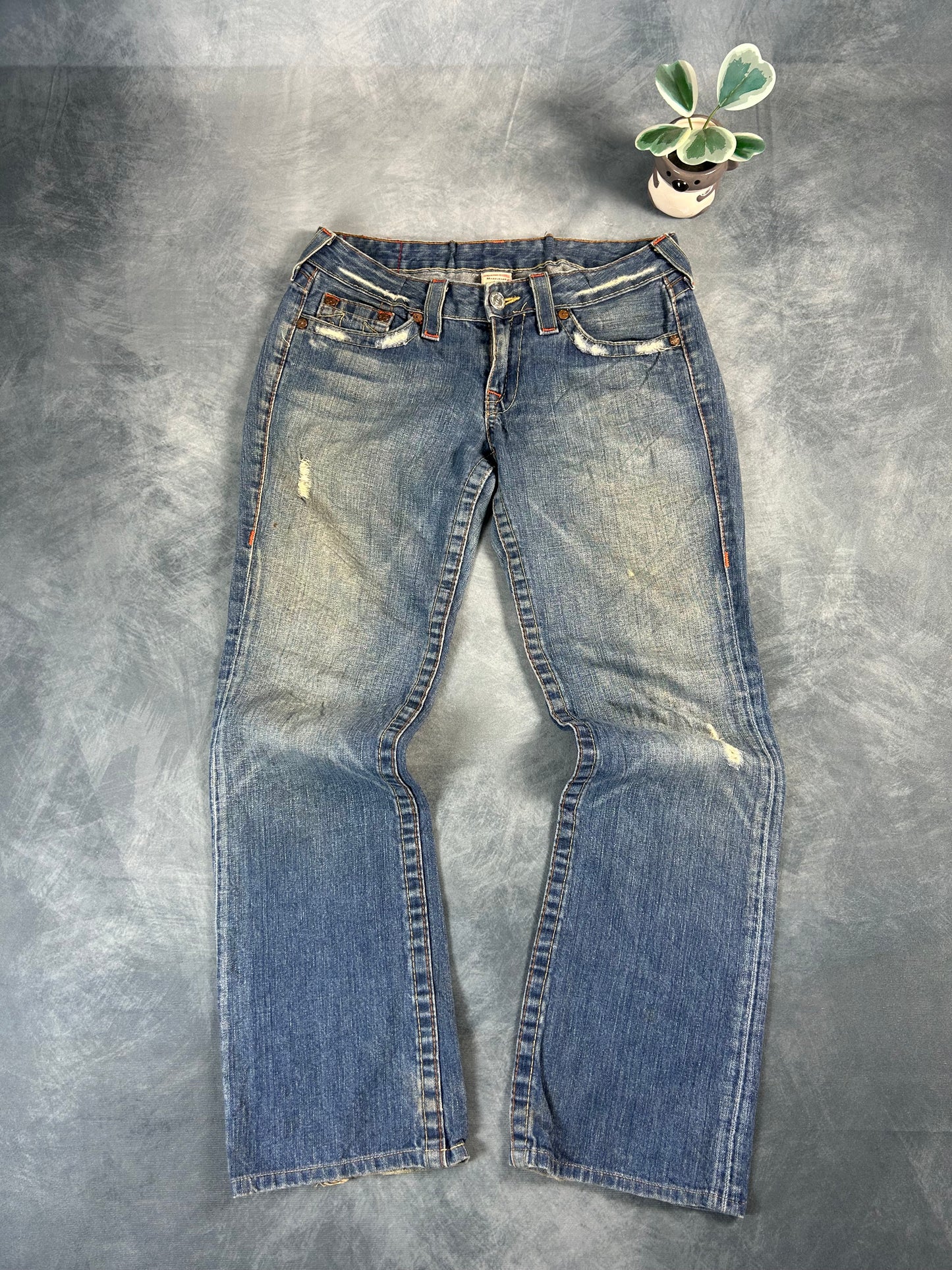 Vintage True Religion Jeans (Johnny, Size 29 M)